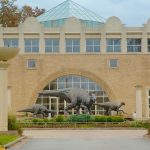 Fernbank-Museum-Of-Natural-History-27245