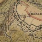 savannah