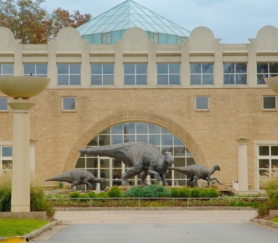 Fernbank Museum