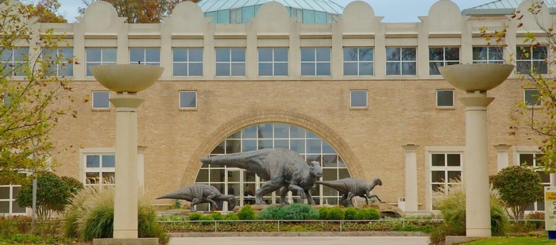 Fernbank Museum