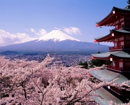 Japan: Toyko & Kyoto
