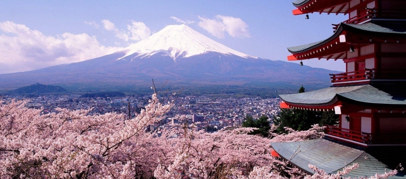 Japan: Toyko & Kyoto